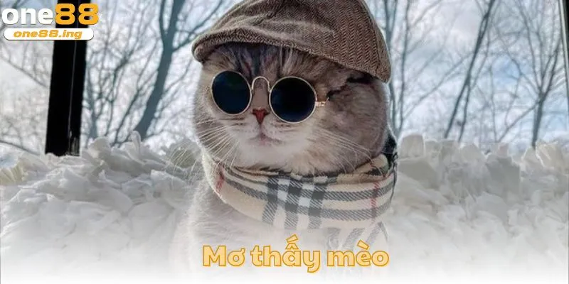 Mơ thấy mèo - ảnh đại diện